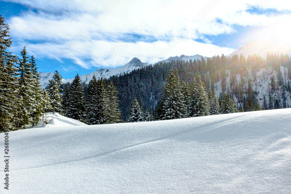 Zauberhafte Winterlandschaft im Gegenlicht Zauberhafte Winterlandschaft im Gegenlicht