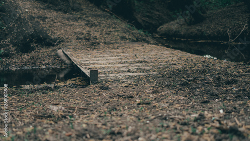 Old iron overgrown bridge at the creek.