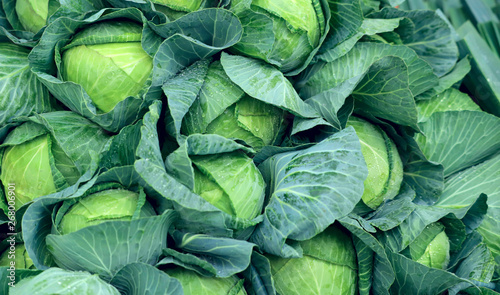 A group of fresh green cabbage leaves on the counter on the market. Cropped shot, horizontal, close-up, top view. The concept of agriculture and nutrition.