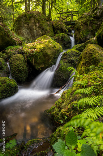 Gertelbacher Wasserfälle im Schwarzwald Bühlertal im Nordschwarzwald