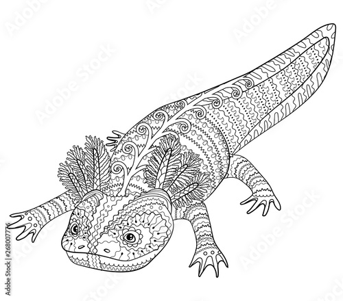 Coloring page with axolotl in patterned style.