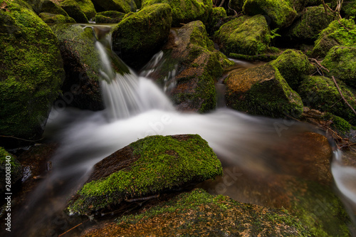 Gertelbacher Wasserf  lle im Schwarzwald B  hlertal im Nordschwarzwald