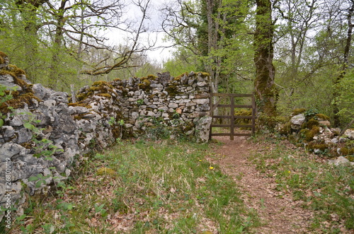 CAUSSES DU QUERCY (CLEDE) ET MURET DE PIERRES SÈCHES LOT FRANCE 