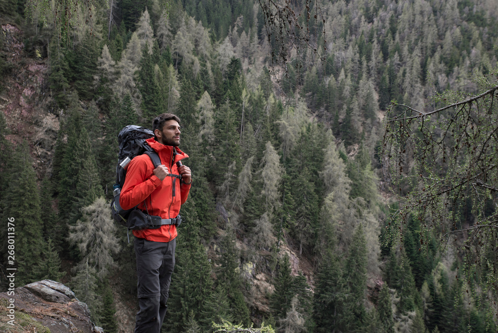 Portrait of an athletic healthy man hiking in nature and looking the at the view. High mountain fir forest background.