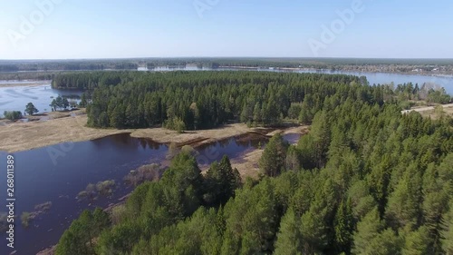 Coniferous Forest and Water.	Top view of the pine forest and the river in spring during the flood