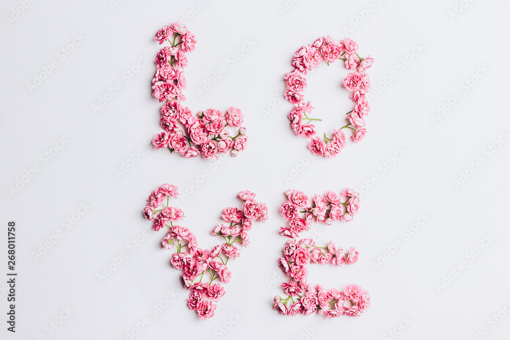 Spring flowers. Pink flowers on white background