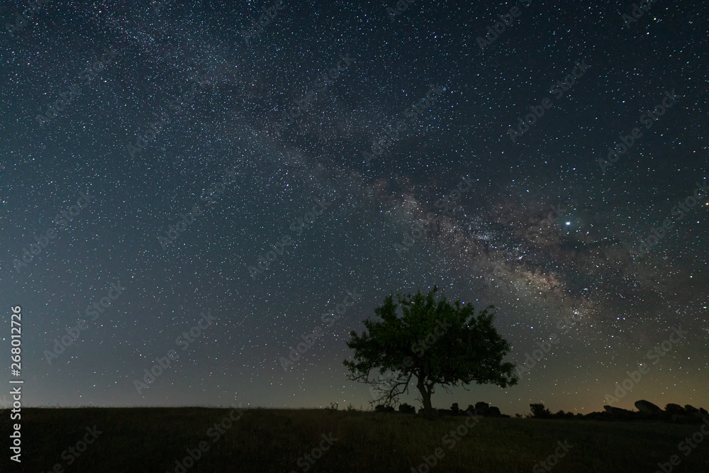 Night landscape with Milky Way near Malpartida de Caceres. Extremadura. Spain.
