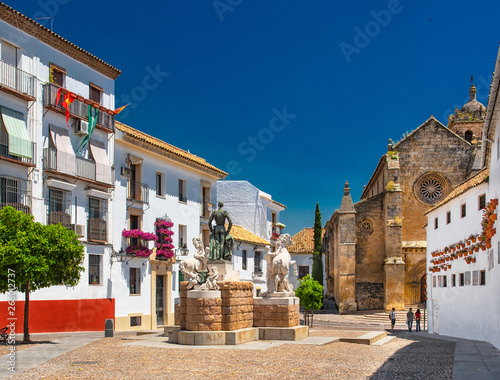 Old town of Cordoba with fl...