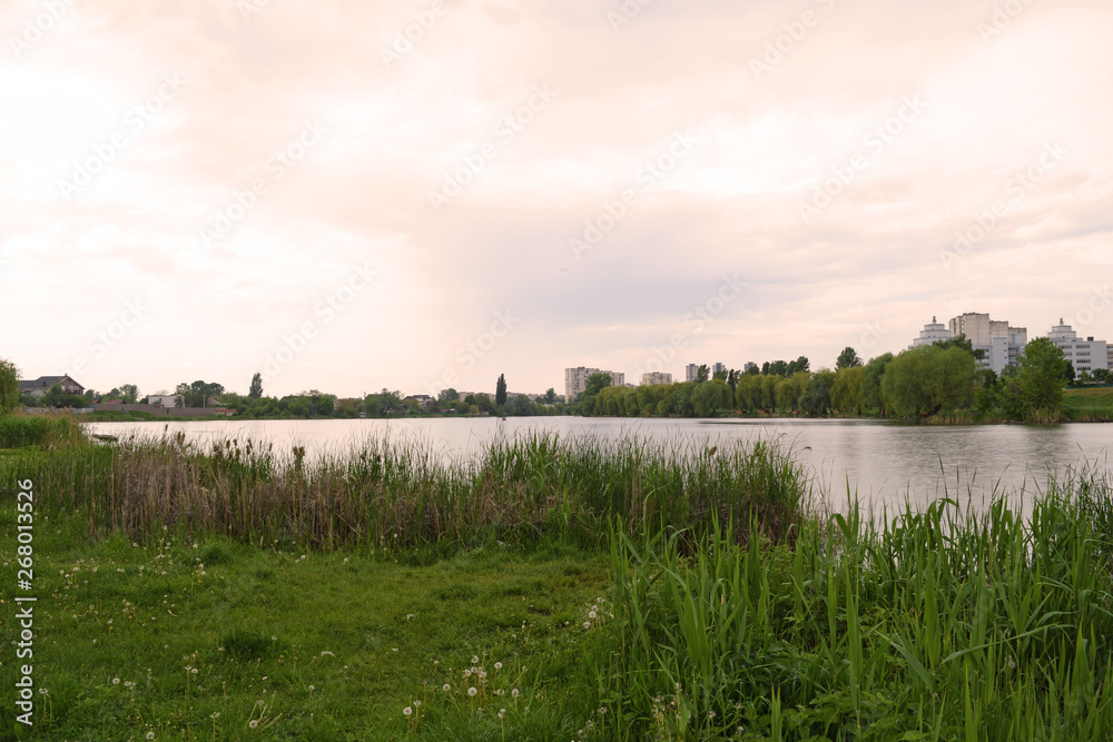View through the green grass of the lake in nature. Landscape in summer.
