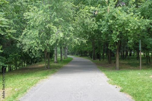 Street in the park
