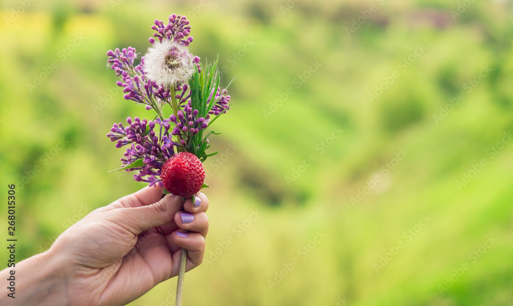 Fresh bouquet of purple lilac, dandelion and red strawberry in hand on a blurred green background. Skin care concept