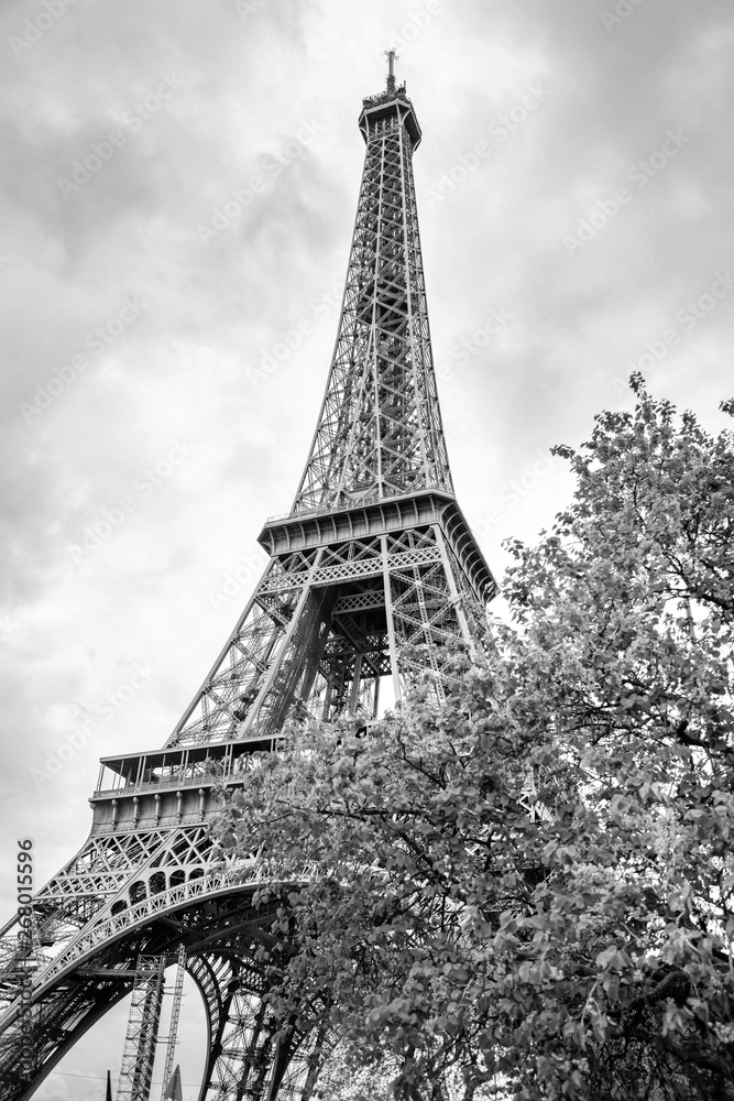 View from the bottom of The Eiffel Tower in Paris in cloudy day, France, in black and white colors