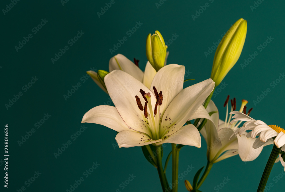 Naklejka premium lily flower on a beautiful background