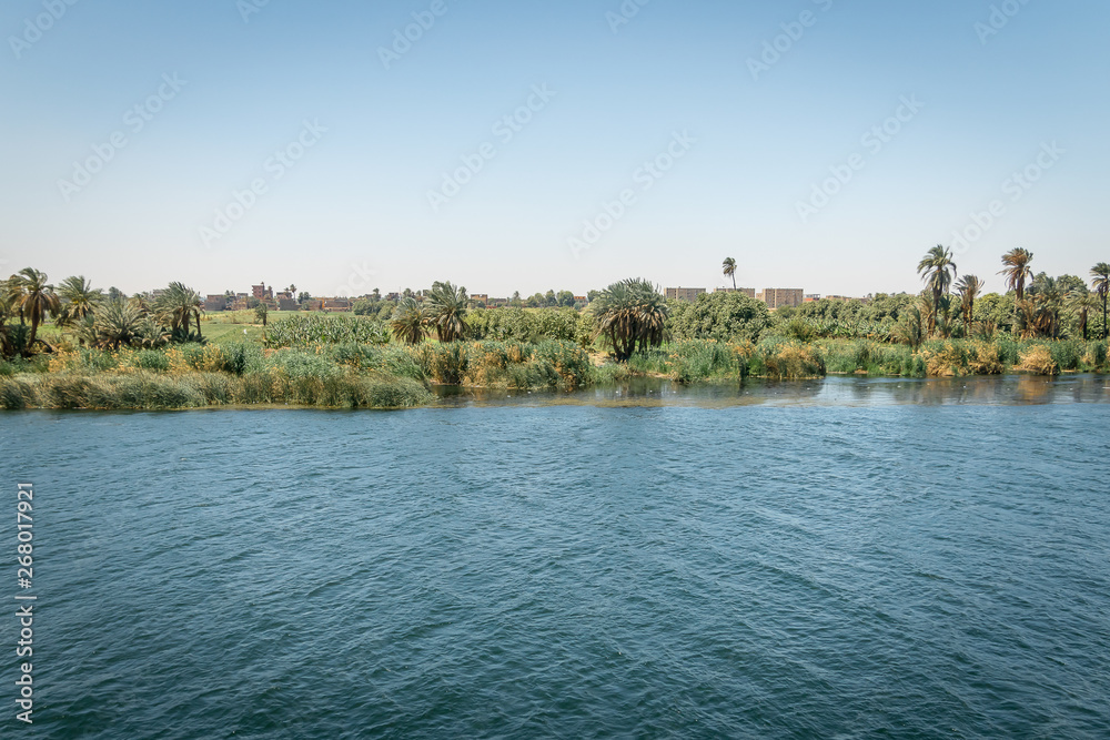 Landscape on the banks of the Nile river. Egypt