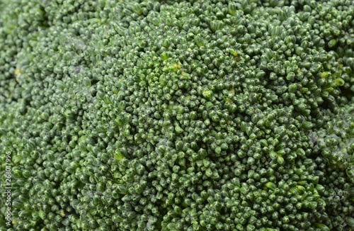 Unique surface texture of broccoli cabbage with high image detail