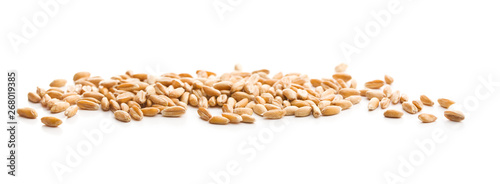 Healthy spelt grains.