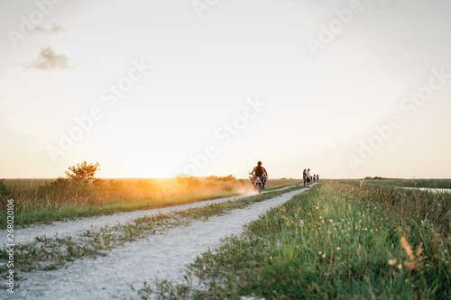 brown and black wooden fence photo