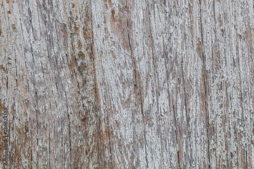 Old Weathered Peeling Wood Texture Old Weathered Peeling Wood Texture