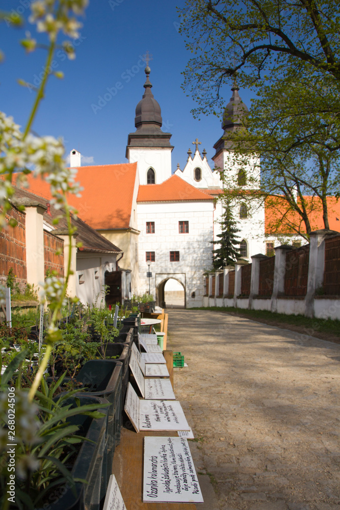 Fototapeta premium Old jewish quarter and basilica in Trebic
