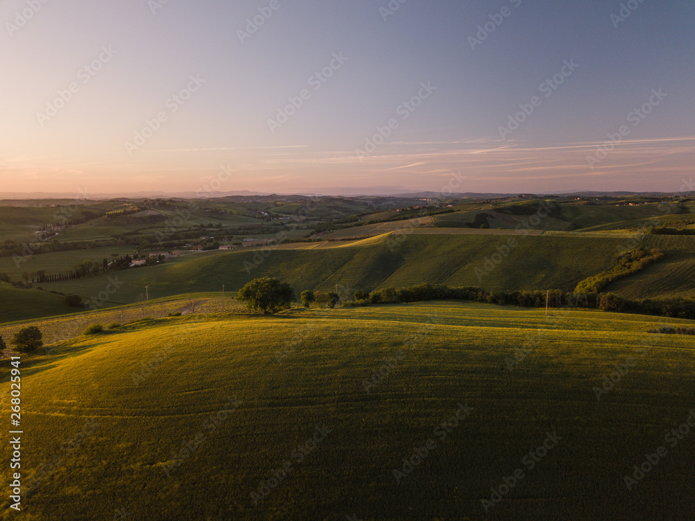 Colline con campi di grano coltivati in val d'orcia Toscana al tramonto