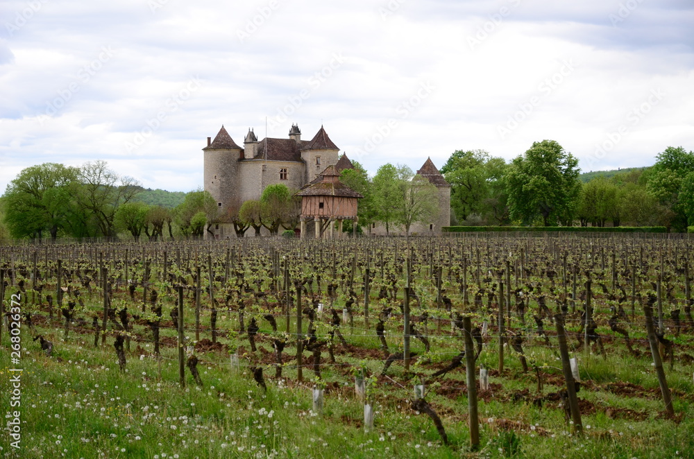 Φωτογραφία CHÂTEAU LAGREZETTE XVI SIÈCLE VIGNOBLE ET PIGEONNIER CAILLAC LOT FRANCE