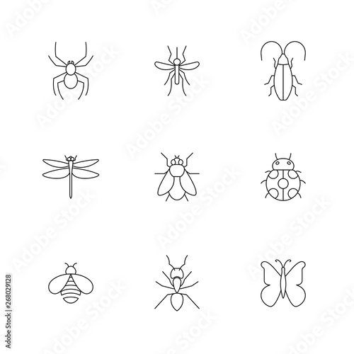 Insect icons pack. Isolated insect symbols collection. Graphic icons element © Nobelus