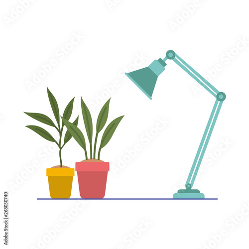 houseplant with lamp in white background