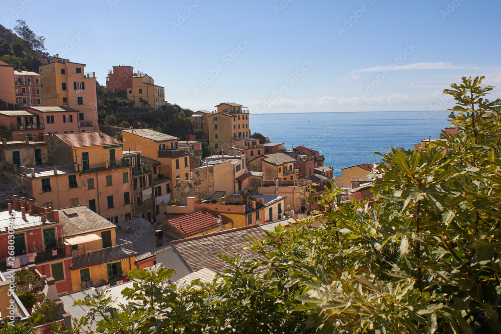 Village of the Cinque Terre, Italy