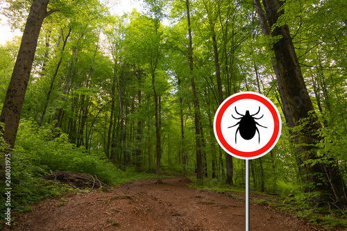 Tick insect meningitis warning sign in nature forest. Lyme disease and tick-borne meningoencephalitis transmitter.