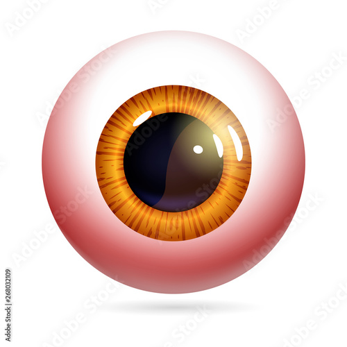 Human eye front view close-up, cornea, retina, pupil. The red iris and white of the eye are red. Eyeball icon design isolated on white background. Realistic Vector Illustration