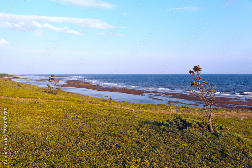 The desolate coast of the Northern White Sea