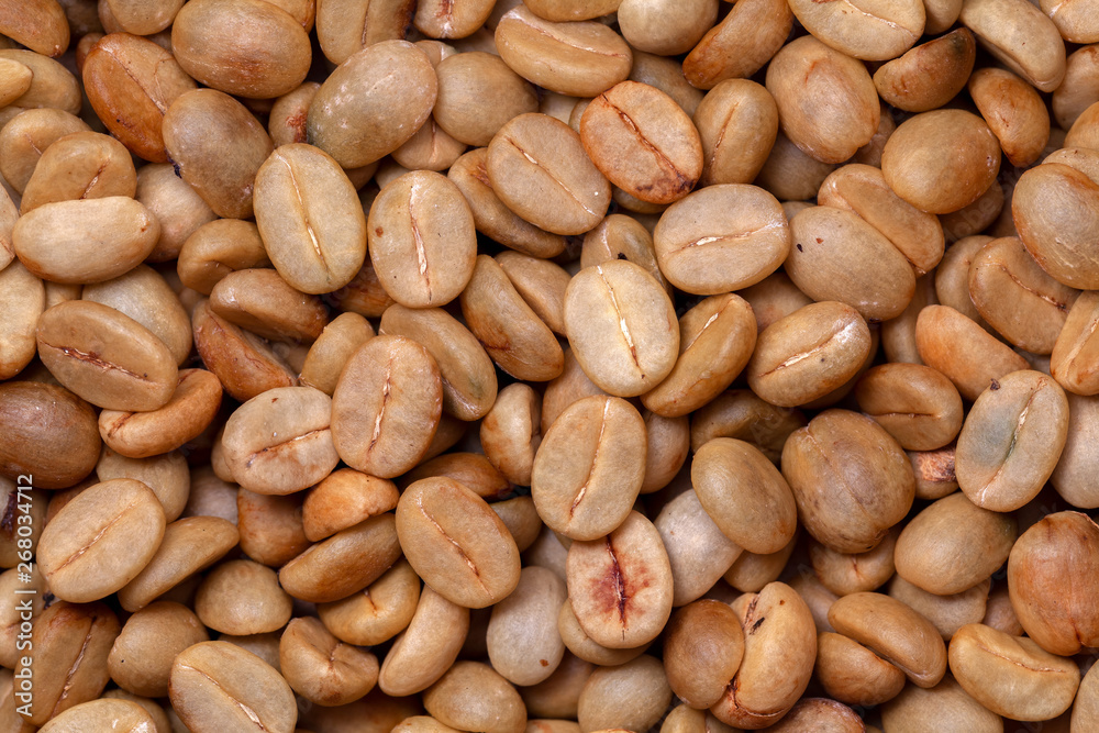 Untoasted organic Coffee beans - coffeea arabica - pattern texture artesanal Untoasted organic Coffee beans - coffeea arabica - pattern texture artesanal