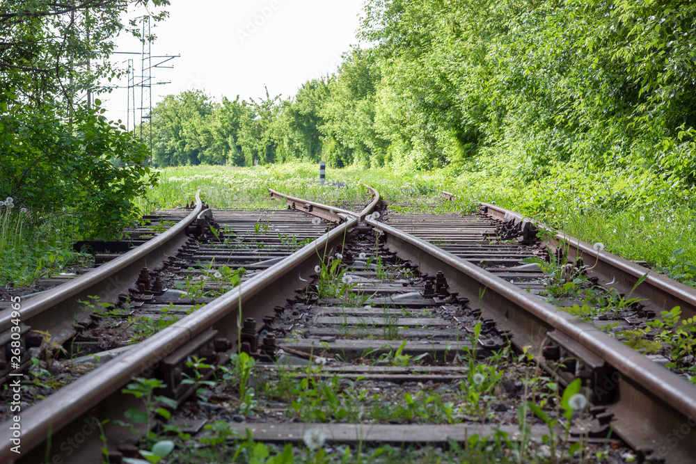 abandoned rail tracks with plants and green trees around. abandoned concept. abandoned rail tracks with plants and green trees around. abandoned concept.