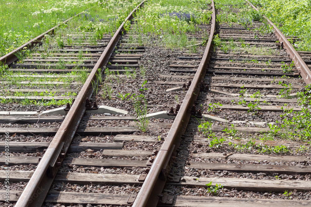 abandoned rail tracks with green plants around. abandoned concept. abandoned rail tracks with green plants around. abandoned concept.