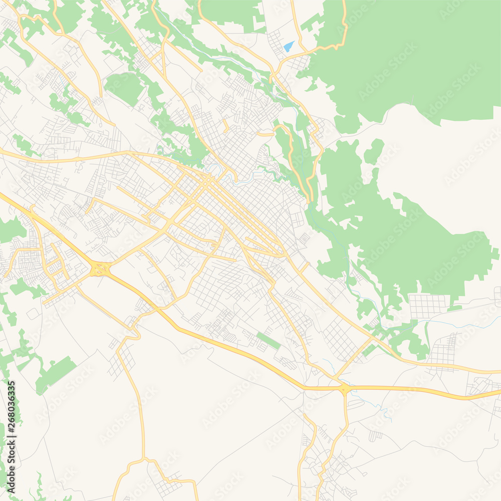 Empty vector map of Córdoba, Veracruz, Mexico