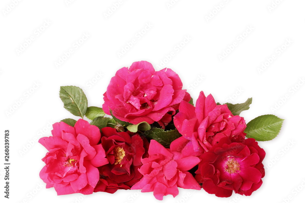 beautiful red roses flower arrangement background for valentines day or love,religion,holiday related concept, top view on white background beautiful red roses flower arrangement background for valentines day or love,religion,holiday related concept, top view on white background