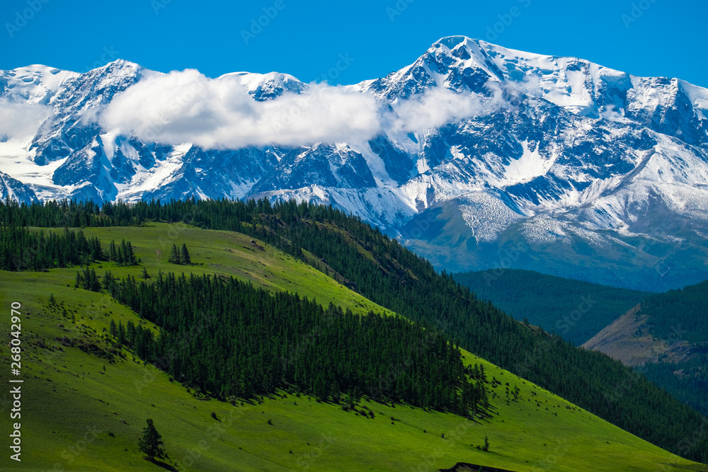 Snow capped mountains and green hills with pine trees in Altai Republic, Russia