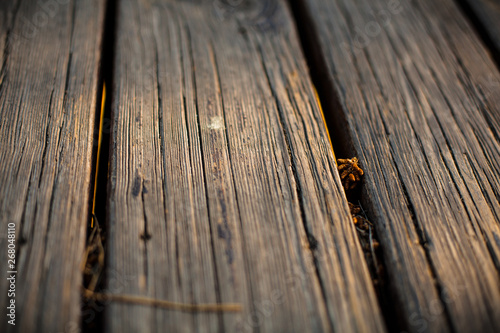 Wooden background. Wooden planks of the bridge with fir cones and leaves.