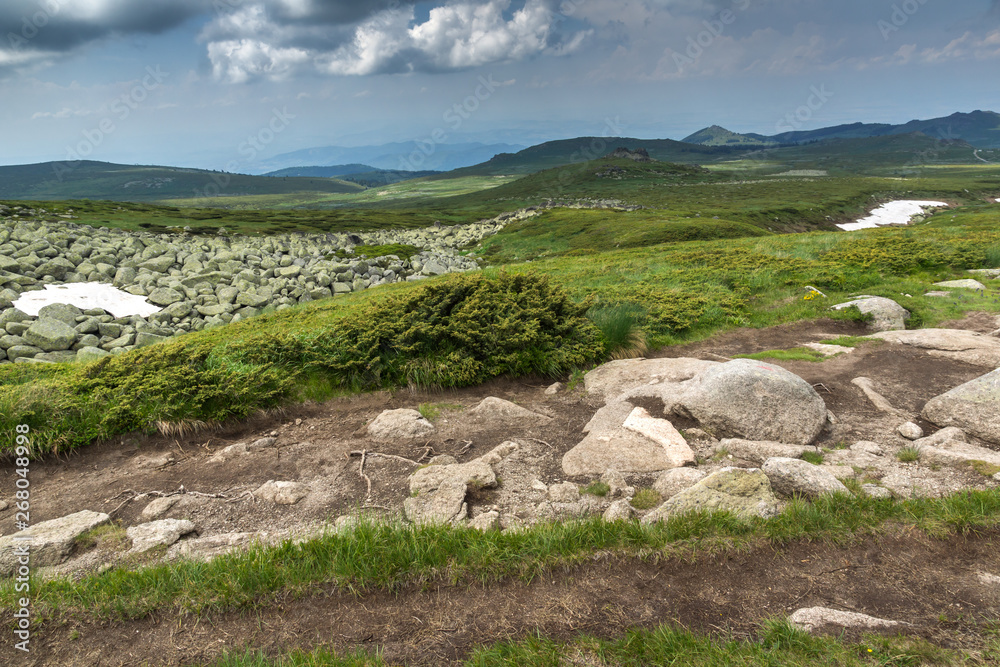 Green hills of Vitosha Mountain near Cherni Vrah Peak, Sofia City Region, Bulgaria