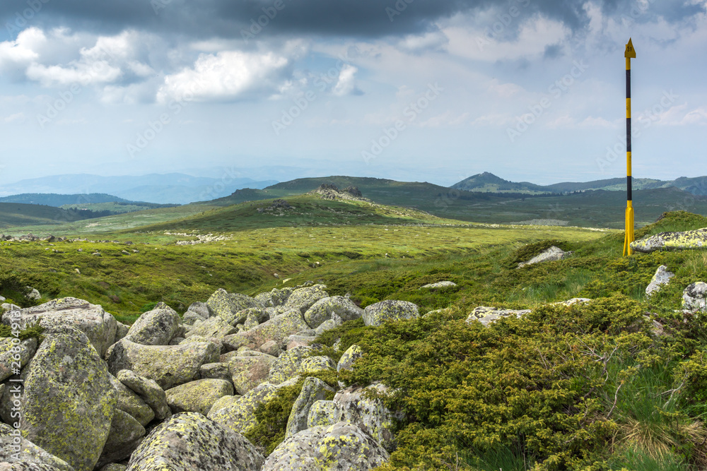 Green hills of Vitosha Mountain near Cherni Vrah Peak, Sofia City Region, Bulgaria