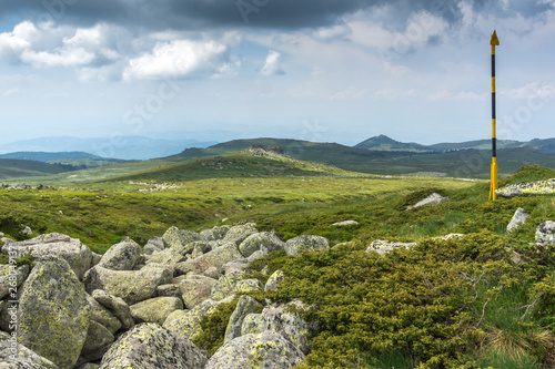 Fototapeta Naklejka Na Ścianę i Meble -  Green hills of Vitosha Mountain near Cherni Vrah Peak, Sofia City Region, Bulgaria