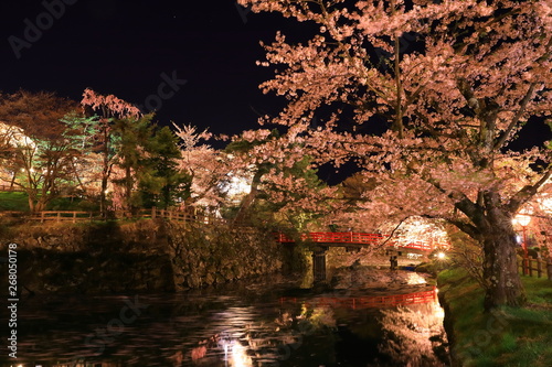 春の弘前公園