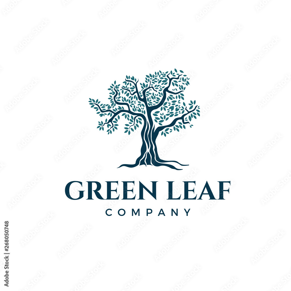 Obraz premium modern tree logo design with green leaf color