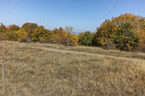 Autumn panorama of Cherna Gora (Monte Negro) mountain, Pernik Region, Bulgaria