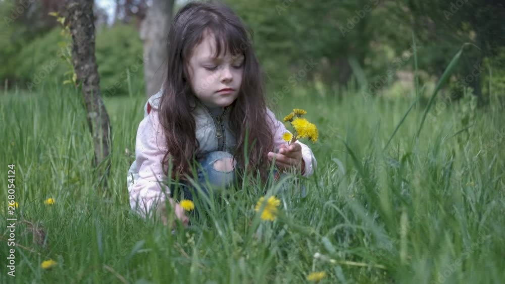 Child with dandelions. A beautiful little girl collects dandelions in the spring in nature. Child with dandelions. A beautiful little girl collects dandelions in the spring in nature.