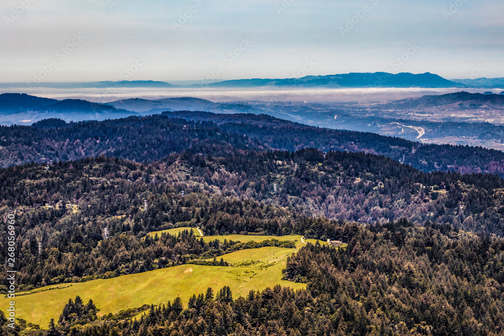 Aerial View of the Pine Tree Covered Mountains and Fog Bank Flying over Redwood City in the Silicon Valley Area in California, USA