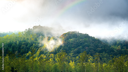 Cloud Forest with Rainbow on The Top Of it. Mountain Hill Forest on Autumn. Silvagenitus Cloud Develops Locally Over Forests Due To Increase Humidity and Evaporation From the Tree Canopy.