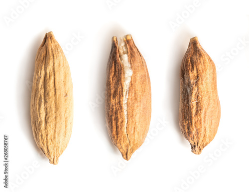 Three Kapok Seed Pods on White Background. Middle Kapok Seed Pod Crack Open Showing its Silky Fibre. Ceiba pentandra seeds.