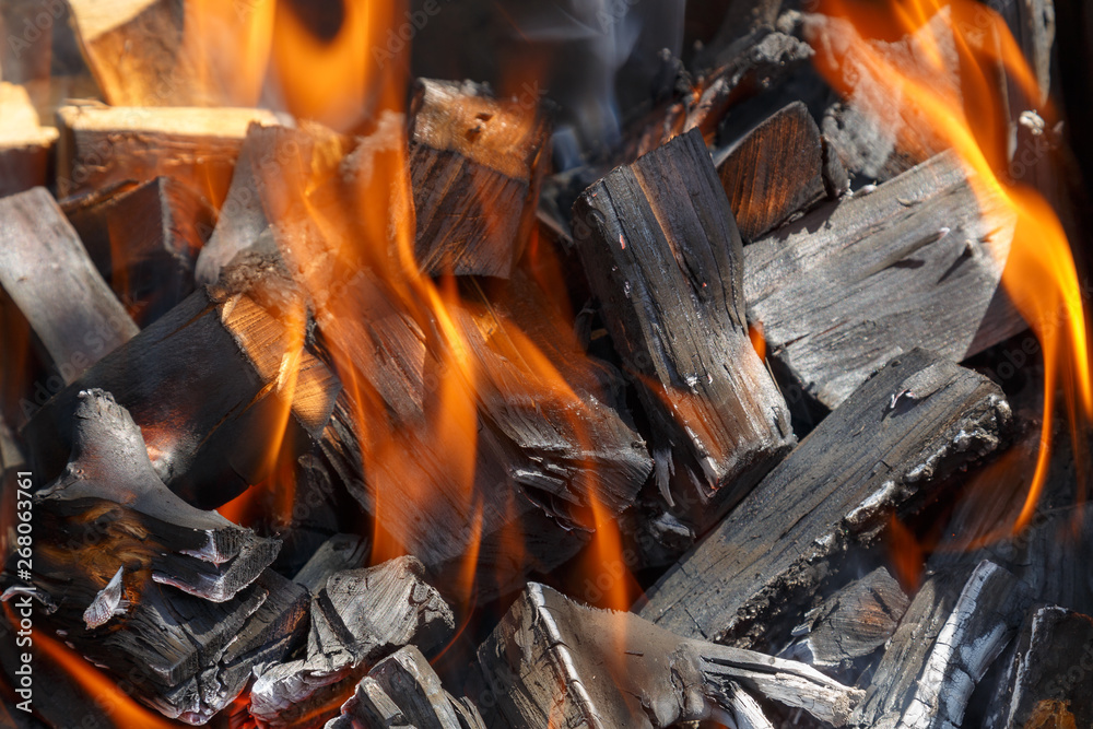 Burning wood in the fire for cooking barbecue. Burning wood in the fire for cooking barbecue.