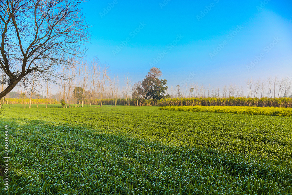 Scenic view of village field ranch farm against blue sky, agriculture concept, background - image